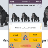 Collective Noun : Real-World Examples