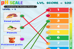pH Food Spectrum - an Alkaline/Acid Activity